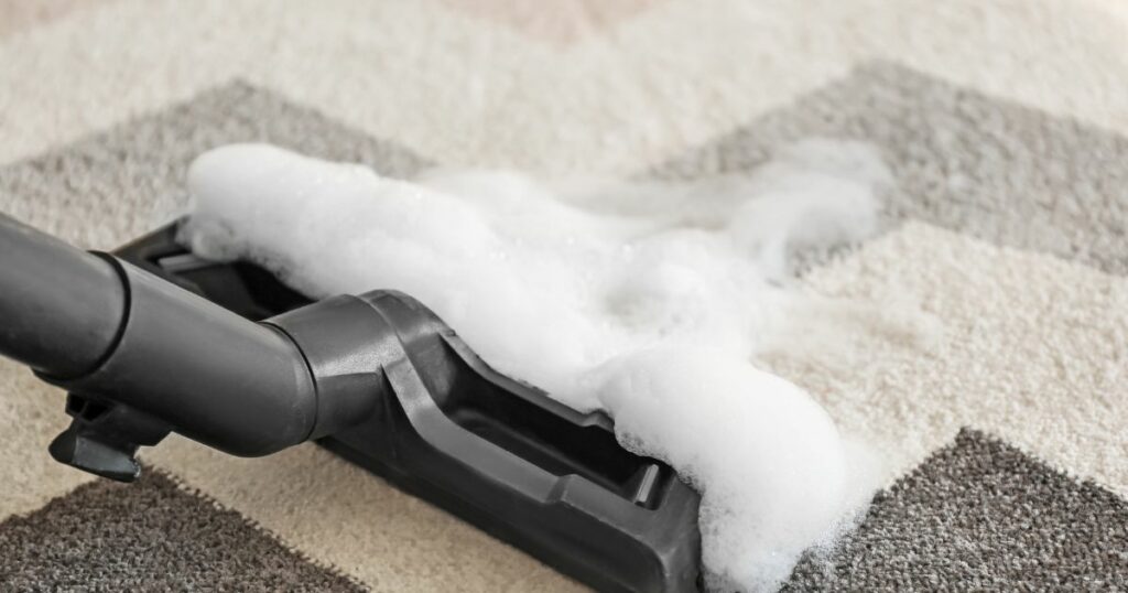 Choosing the Right Carpet Cleaning Solution for Your Home