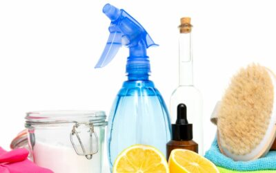 Top 5 Best Cleaning Products from Dollar Tree