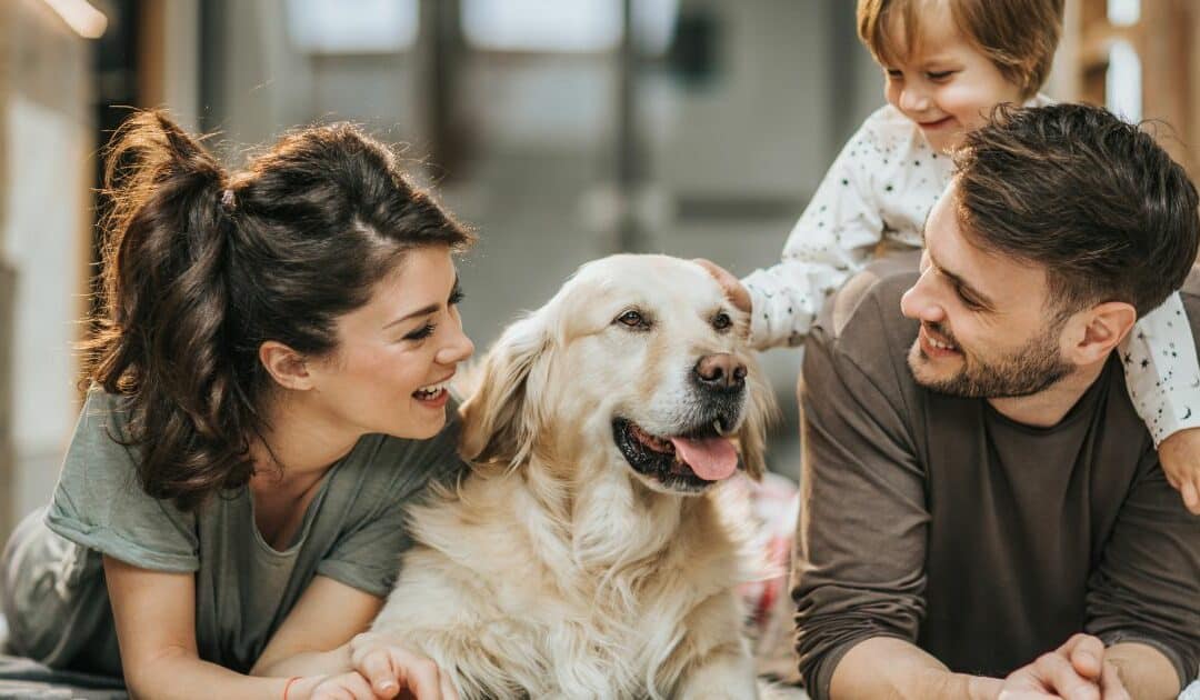 How to Keep Your House Clean with a Shedding Dog: The Easiest Way to Manage Fuzz